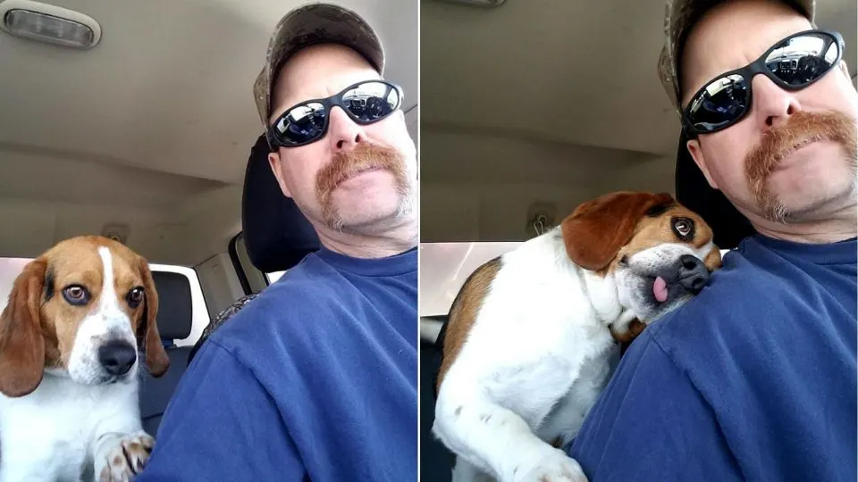 A-Dog-Is-Rescued-From-Euthanization-And-Cant-Hold-Back-His-Happiness