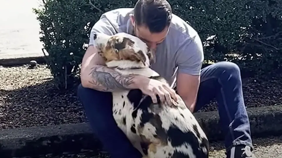 A-Scared-And-Lonely-Dog-Finally-Feels-Safe-After-Hugging-His-New-Dad