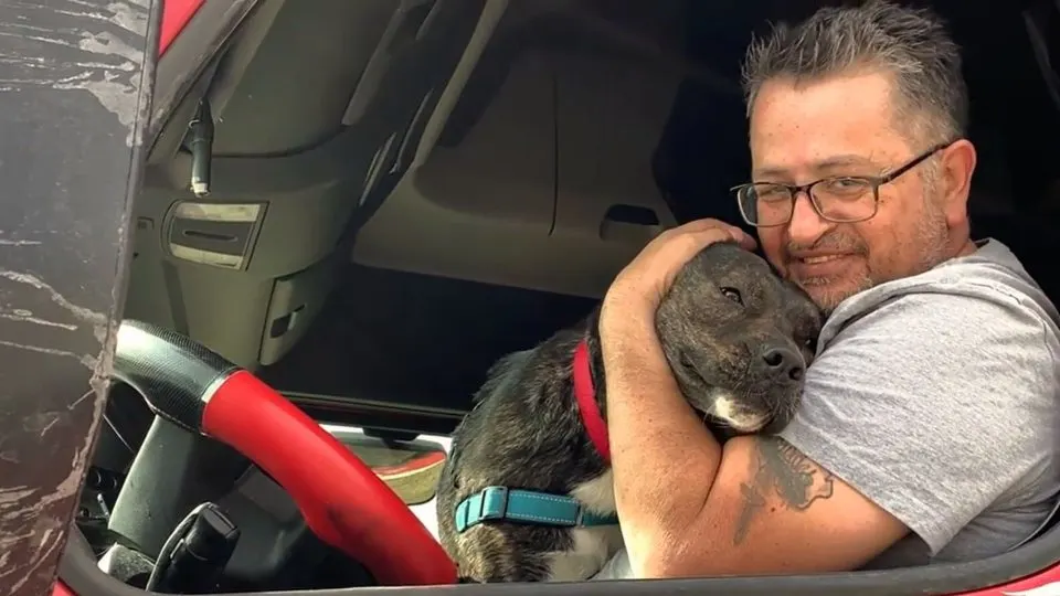 After-372-Days-At-A-Shelter-This-Pawesome-Boy-Climbs-Into-A-Car-With-His-New-Dad