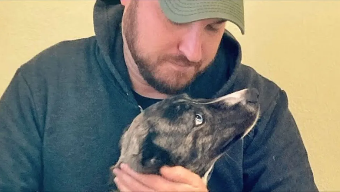 Mama Dog Who Finally Got Rescued Became The Best Co-pilot Ever