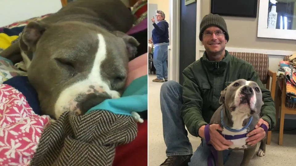 After-Being-At-The-Shelter-For-93-Days-Dog-Gets-Adopted-By-His-Favorite-Volunteer