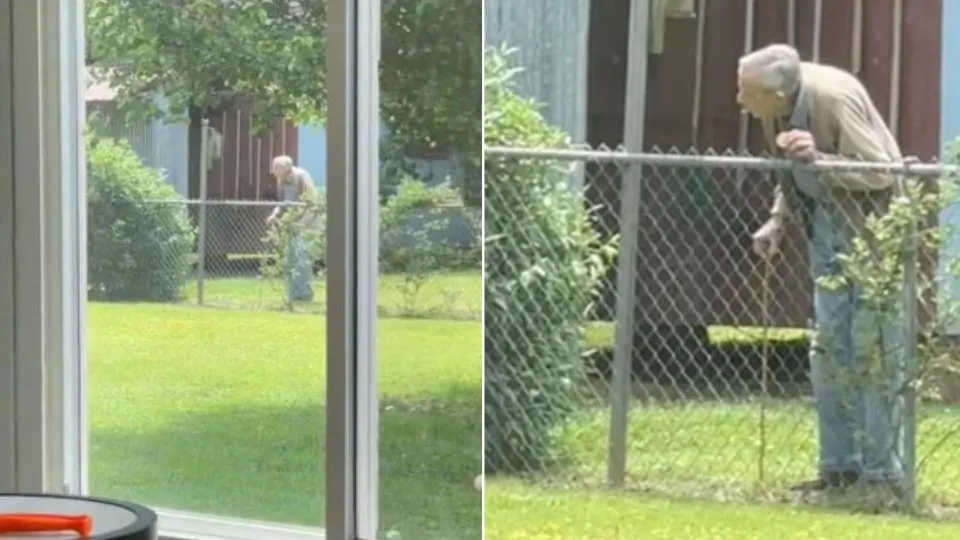 Elderly-Man-Has-The-Most-Adorable-Routine-With-His-Neighbours-Dogs