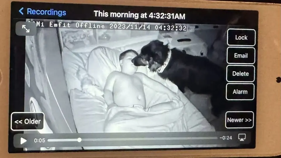 Puppy-Caught-On-Camera-Sneaking-Into-His-Brothers-Room-With-A-Heartwarming-Goal