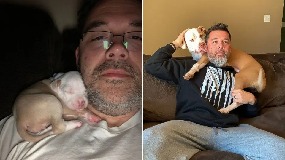 Pittie-Loves-To-Nap-On-Dads-Shoulder-Although-Shes-A-Big-Girl-Now