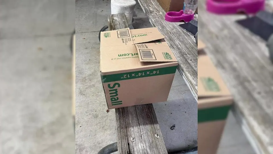 South Carolina Volunteer Shocked To Discover Box With Heartbreaking Contents In The Middle Of The Night